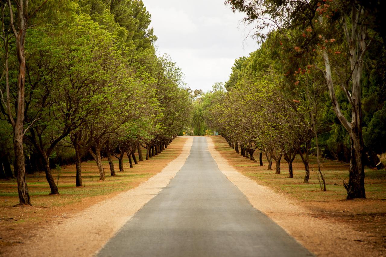 Renmark Country Club Exteriör bild