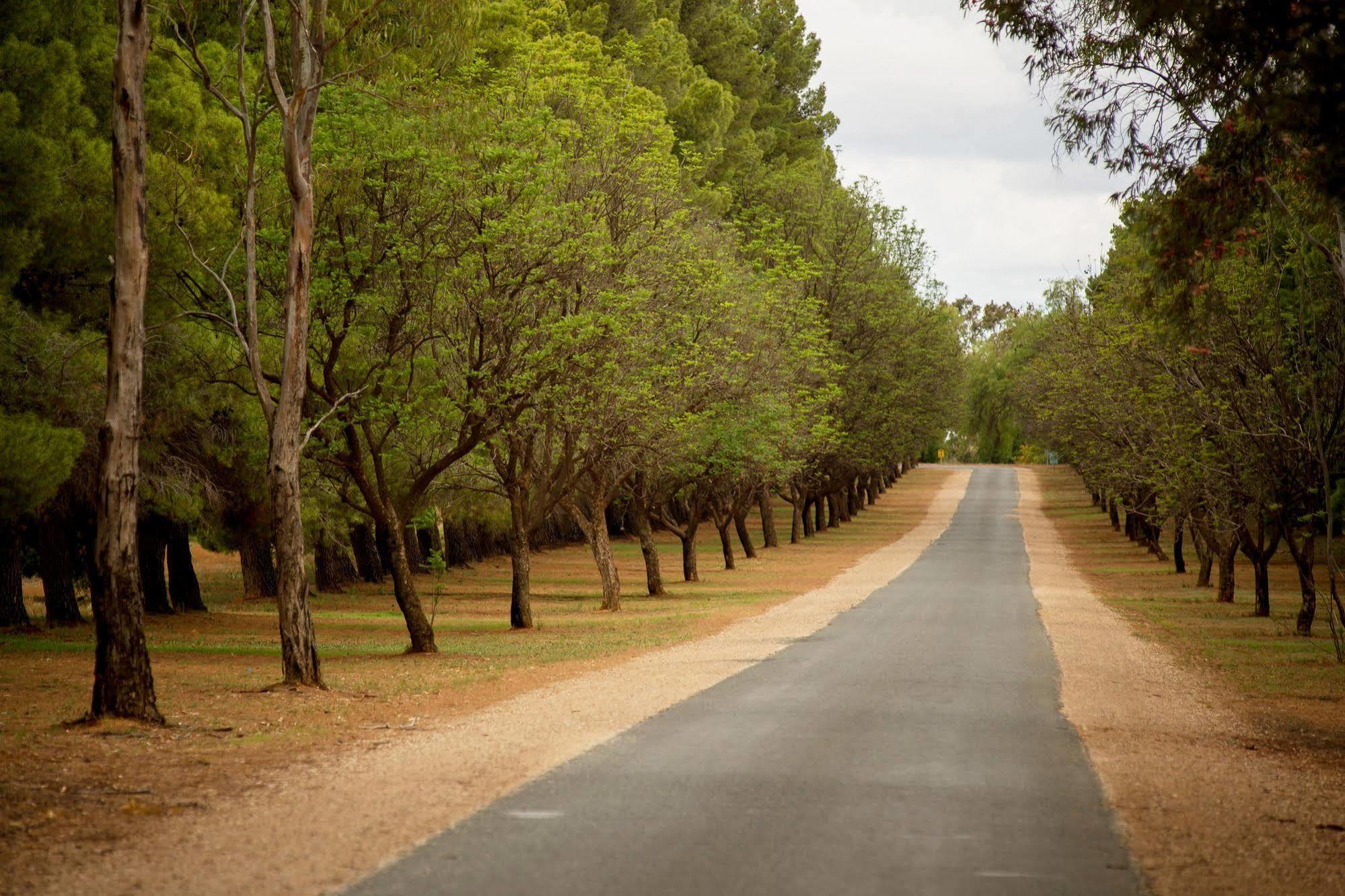 Renmark Country Club Exteriör bild