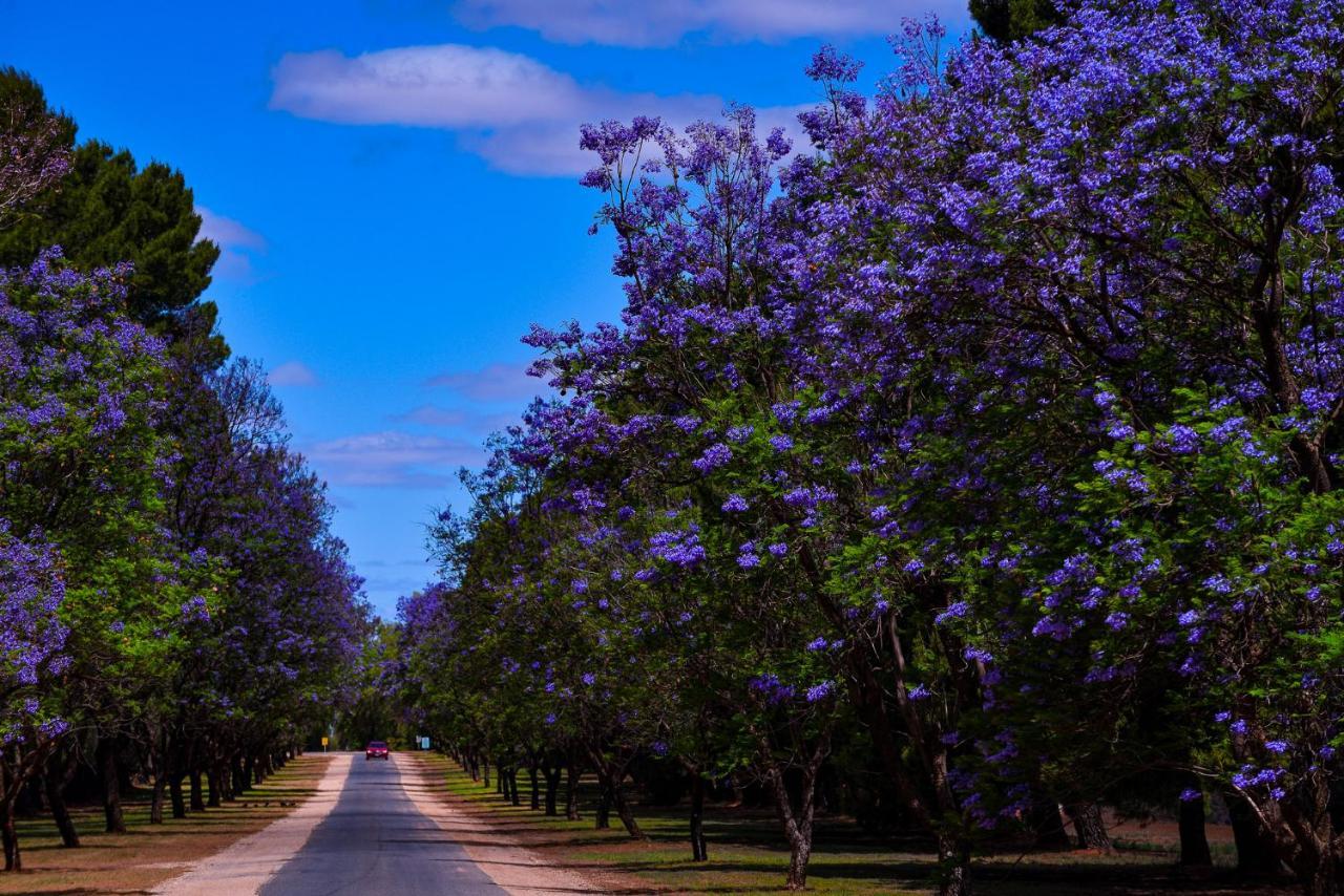 Renmark Country Club Exteriör bild