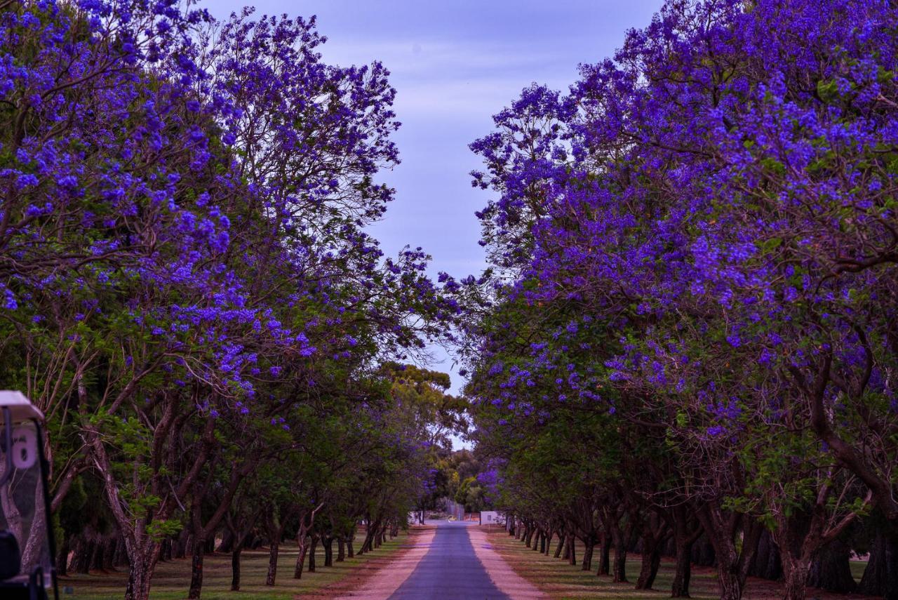 Renmark Country Club Exteriör bild