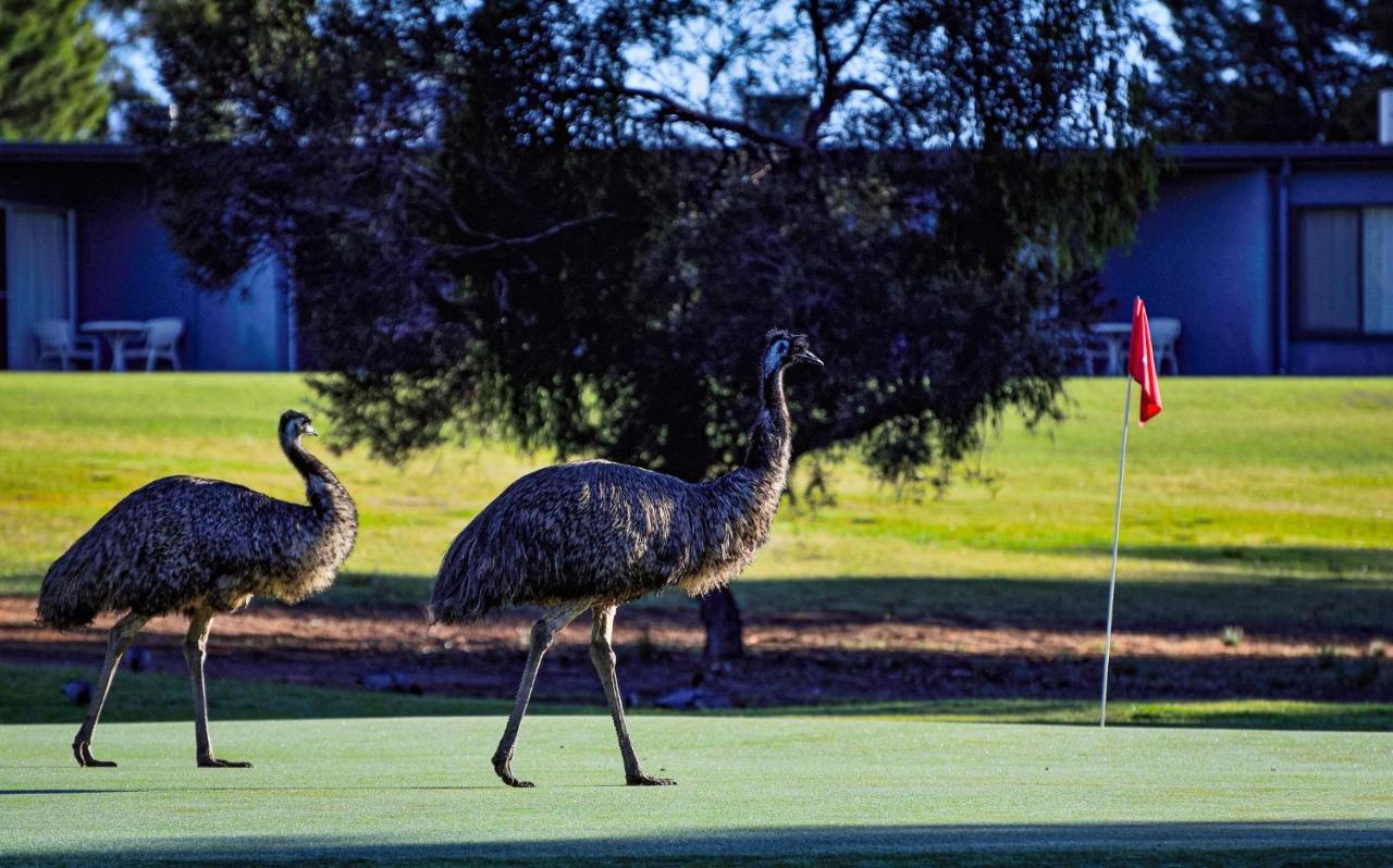 Renmark Country Club Exteriör bild